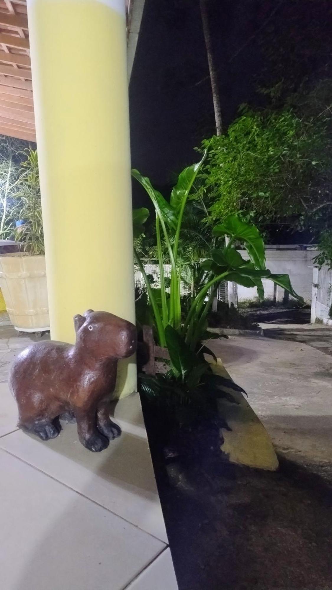 Chacara Goncalves Hotel เซาเปาโล ภายนอก รูปภาพ